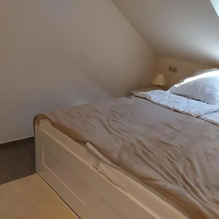 Apartmán Zichy Ház