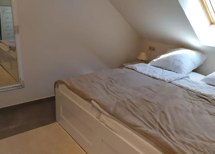 Apartament Zichy Haz